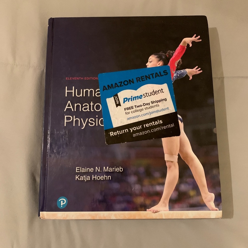 Human anatomy and physiology